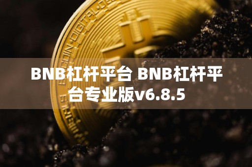 BNB杠杆平台 BNB杠杆平台专业版v6.8.5