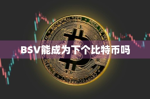 BSV能成为下个比特币吗