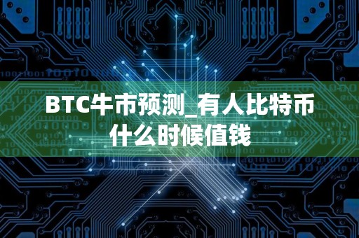 BTC牛市预测_有人比特币什么时候值钱