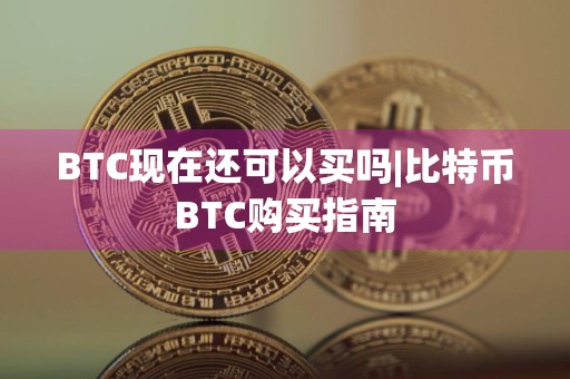 BTC现在还可以买吗|比特币BTC购买指南