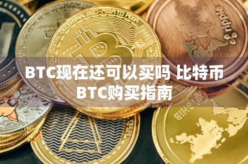 BTC现在还可以买吗 比特币BTC购买指南