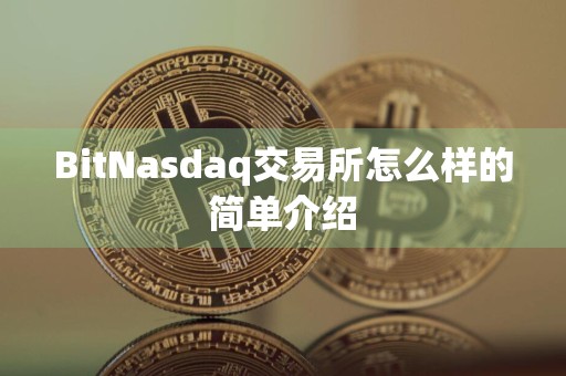 BitNasdaq交易所怎么样的简单介绍