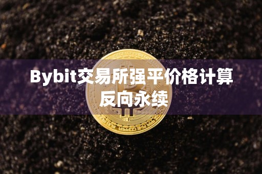 Bybit交易所强平价格计算 反向永续