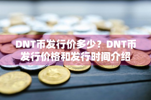 DNT币发行价多少？DNT币发行价格和发行时间介绍