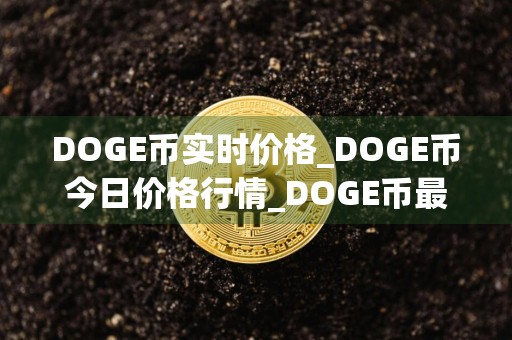 DOGE币实时价格_DOGE币今日价格行情_DOGE币最新消息