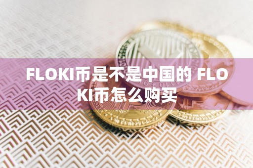 FLOKI币是不是中国的 FLOKI币怎么购买