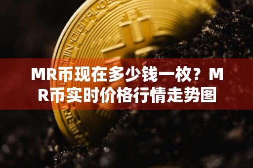 MR币现在多少钱一枚？MR币实时价格行情走势图