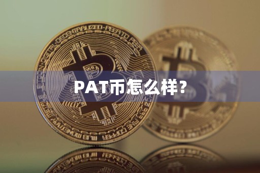 PAT币怎么样？