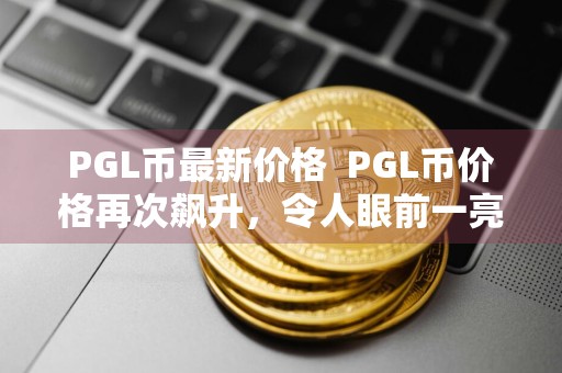 PGL币最新价格PGL币价格再次飙升，令人眼前一亮