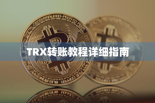 TRX转账教程详细指南