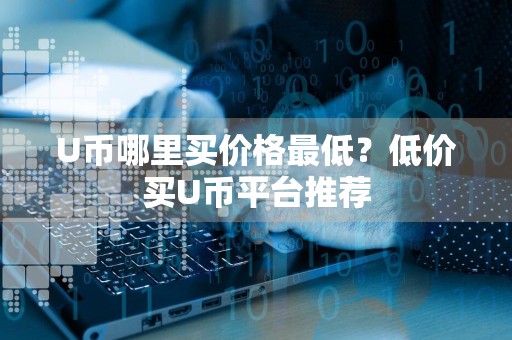 U币哪里买价格最低？低价买U币平台推荐
