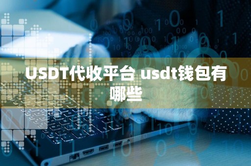 USDT代收平台 usdt钱包有哪些