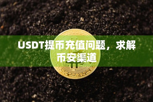 USDT提币充值问题，求解币安渠道