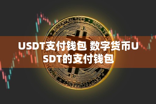 USDT支付钱包 数字货币USDT的支付钱包