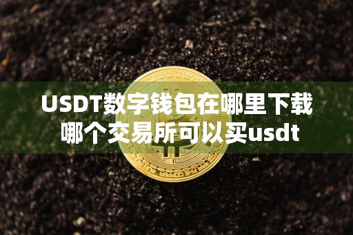 USDT数字钱包在哪里下载 哪个交易所可以买usdt