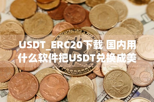 USDT_ERC20下载 国内用什么软件把USDT兑换成美金