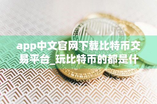 app中文官网下载比特币交易平台_玩比特币的都是什么人