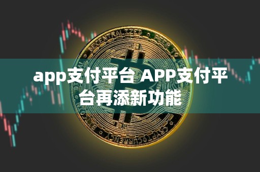 app支付平台 APP支付平台再添新功能