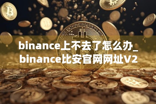 binance上不去了怎么办_binance比安官网网址V2.61.0