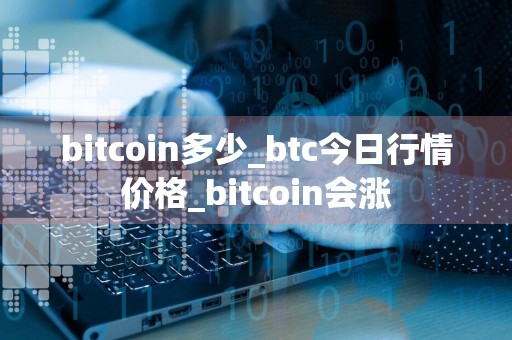 bitcoin多少_btc今日行情价格_bitcoin会涨