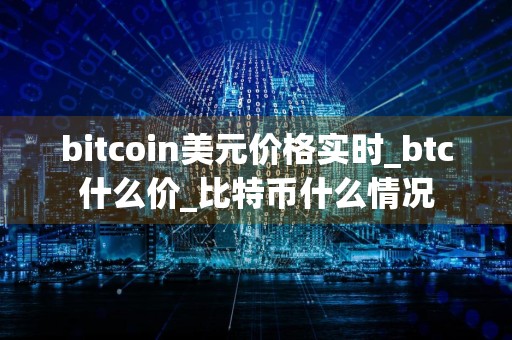 bitcoin美元价格实时_btc什么价_比特币什么情况