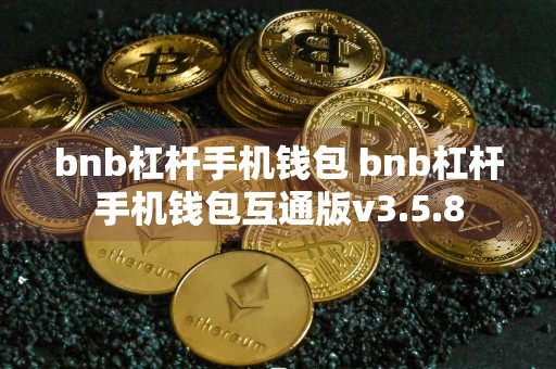 bnb杠杆手机钱包 bnb杠杆手机钱包互通版v3.5.8