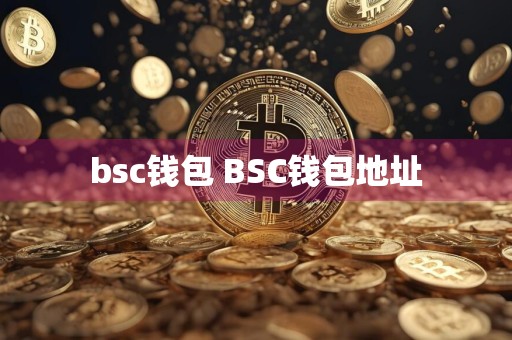 bsc钱包 BSC钱包地址