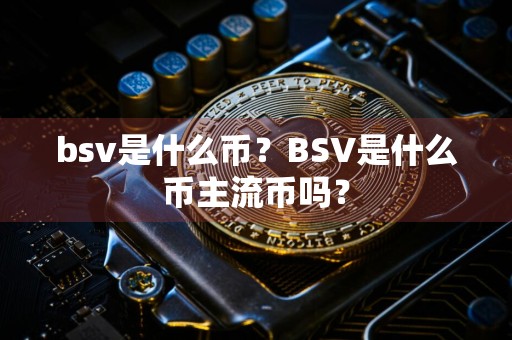 bsv是什么币？BSV是什么币主流币吗？