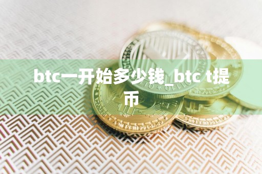 btc一开始多少钱_btc t提币