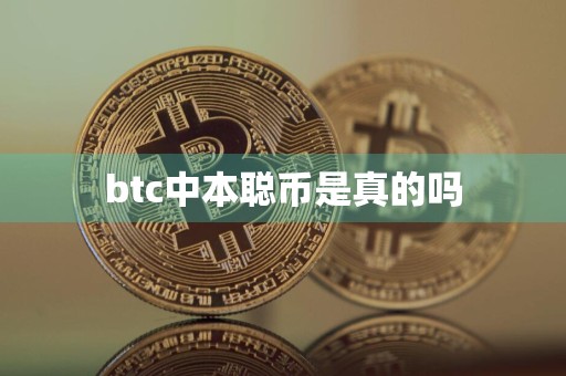 btc中本聪币是真的吗