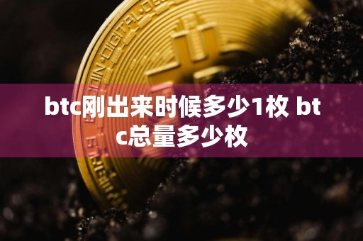 btc刚出来时候多少1枚 btc总量多少枚