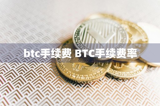 btc手续费 BTC手续费率