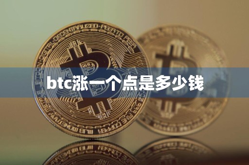 btc涨一个点是多少钱
