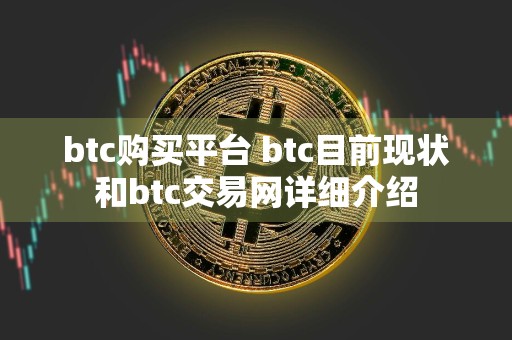 btc购买平台 btc目前现状和btc交易网详细介绍