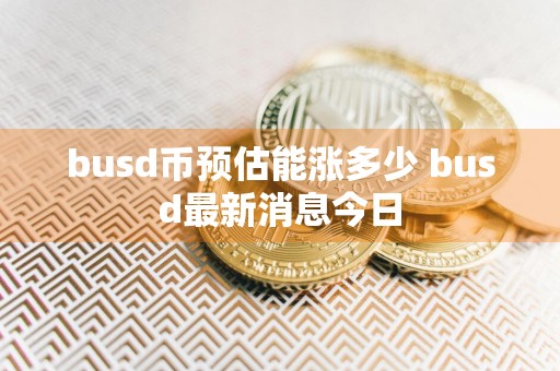 busd币预估能涨多少 busd最新消息今日