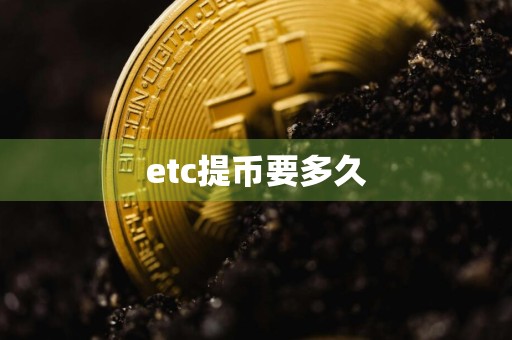etc提币要多久