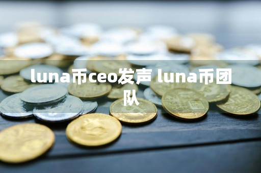 luna币ceo发声 luna币团队