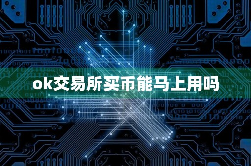 ok交易所买币能马上用吗