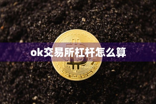 ok交易所杠杆怎么算