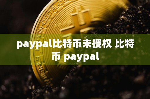 paypal比特币未授权 比特币 paypal