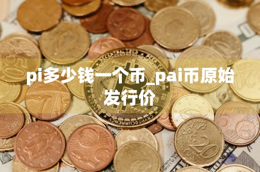 pi多少钱一个币_pai币原始发行价