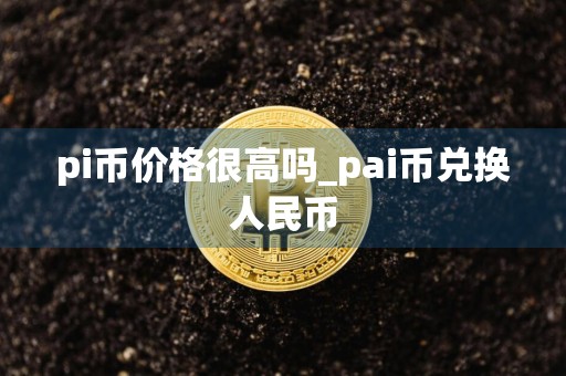 pi币价格很高吗_pai币兑换人民币