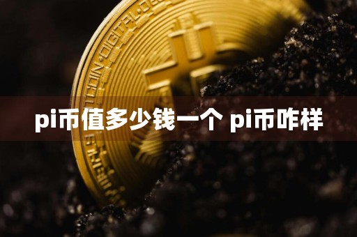 pi币值多少钱一个 pi币咋样