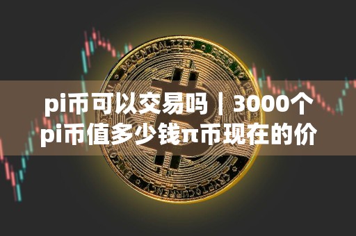 pi币可以交易吗｜3000个pi币值多少钱π币现在的价格是多少