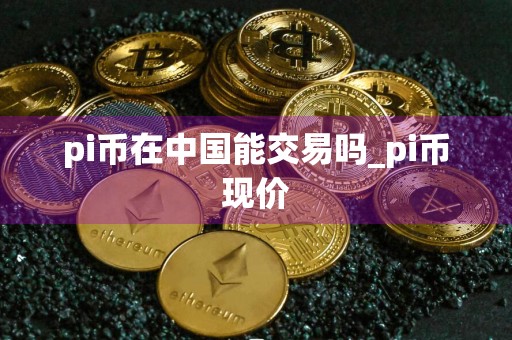 pi币在中国能交易吗_pi币现价