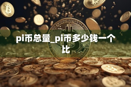 pi币总量_pi币多少钱一个比