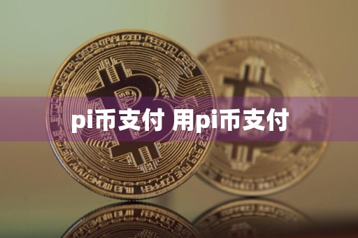 pi币支付 用pi币支付