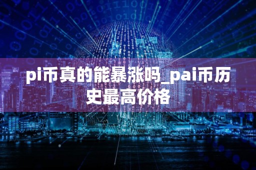 pi币真的能暴涨吗_pai币历史最高价格