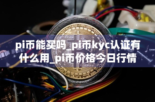 pi币能买吗_pi币kyc认证有什么用_pi币价格今日行情图