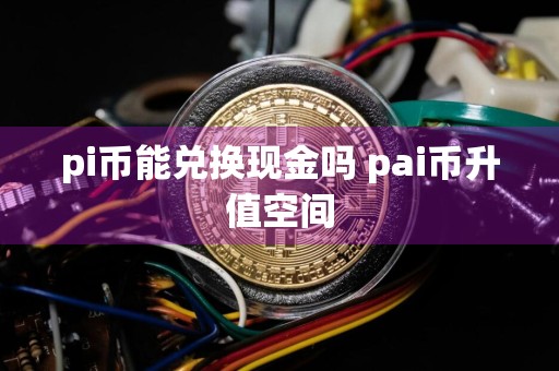 pi币能兑换现金吗 pai币升值空间
